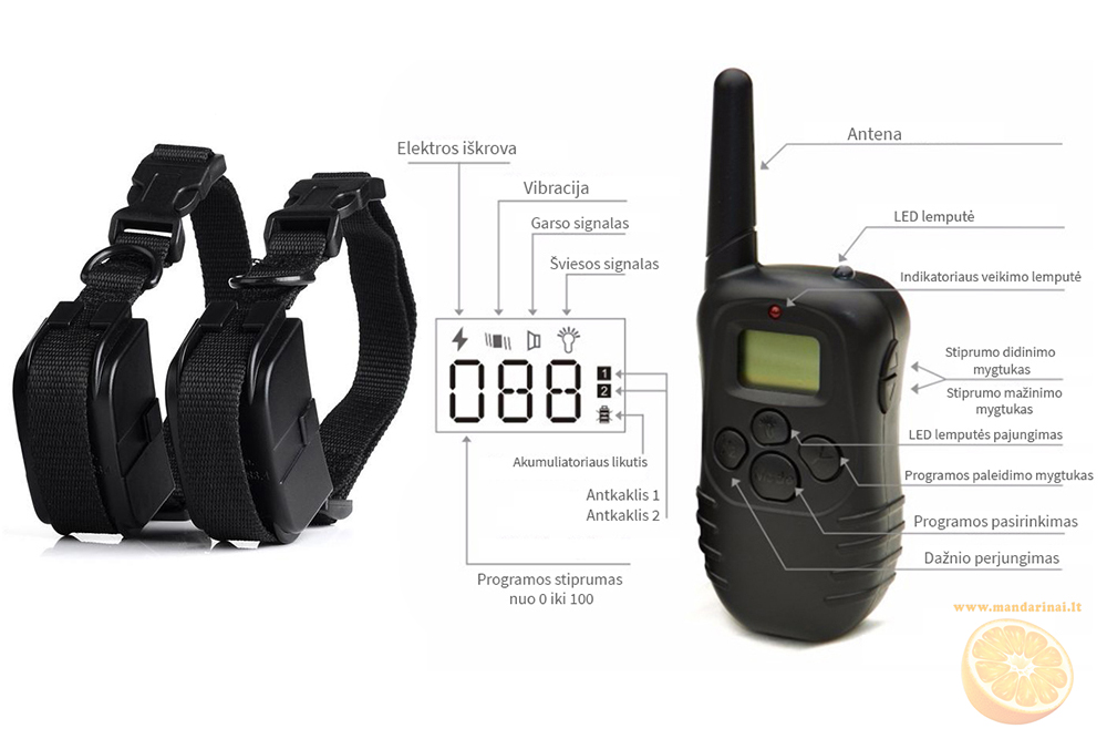 54.99 € Dresavimo sistema 2 šunims