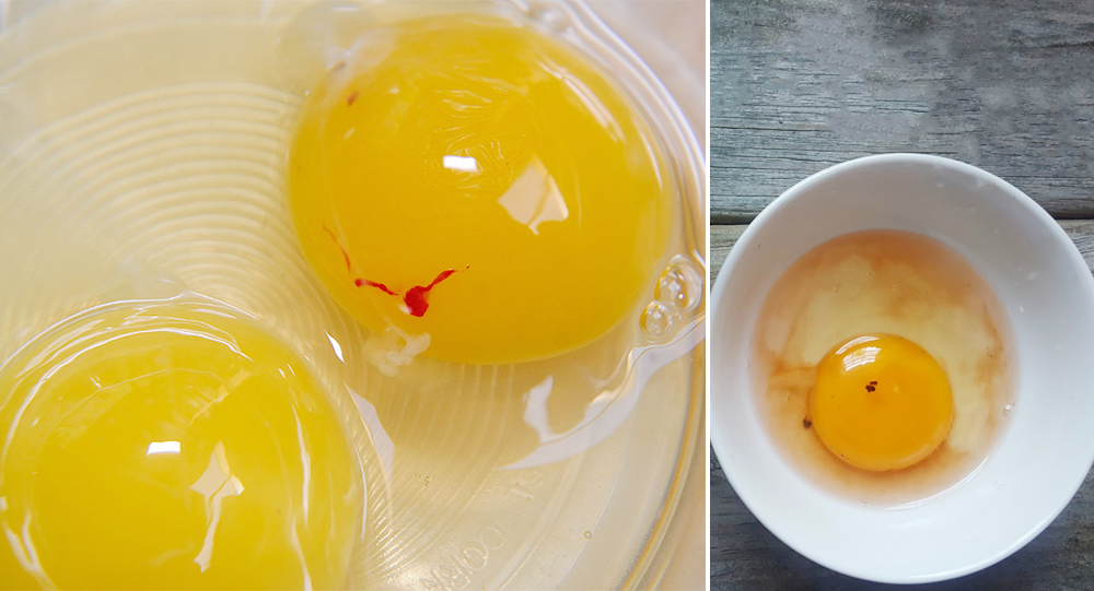 7.99 € OVOSKOPAS kiaušinių kokybei tikrinti