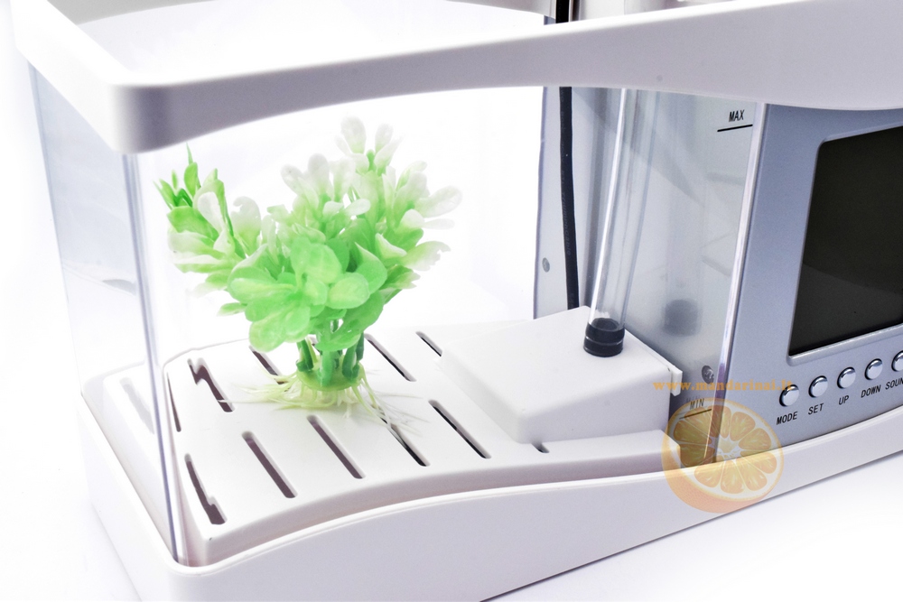 Puiki dovana - daugiafunkcinis USB akvariumas!