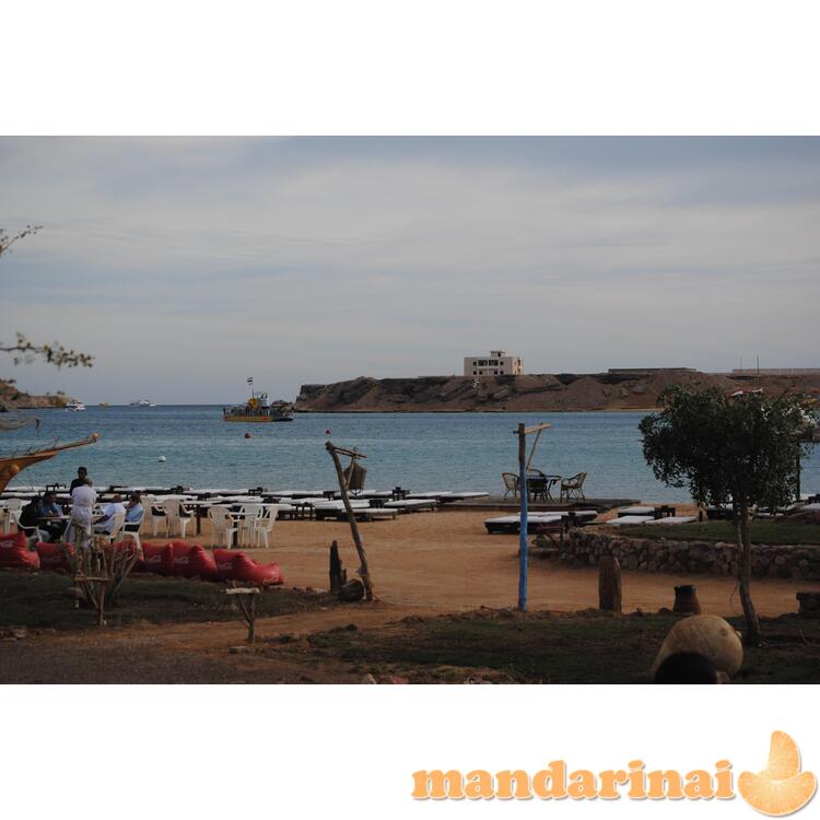 Kelionė į Šarm aš Šeichą su "Viskas įskaičiuota"! Sharm Inn Amarein 4*