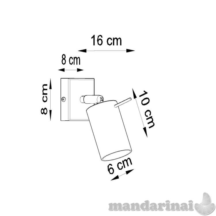 Sieninis šviestuvas žiedas chromas 6