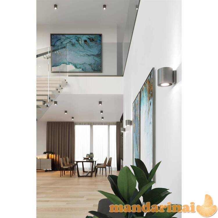 Sieninis šviestuvas orbis 1 antracitas 4