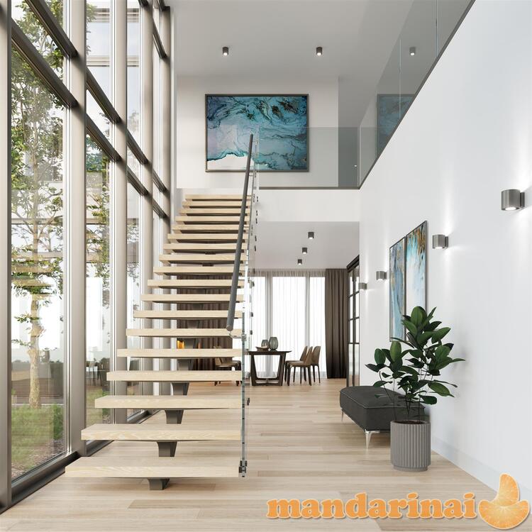 Sieninis šviestuvas orbis 1 antracitas 3