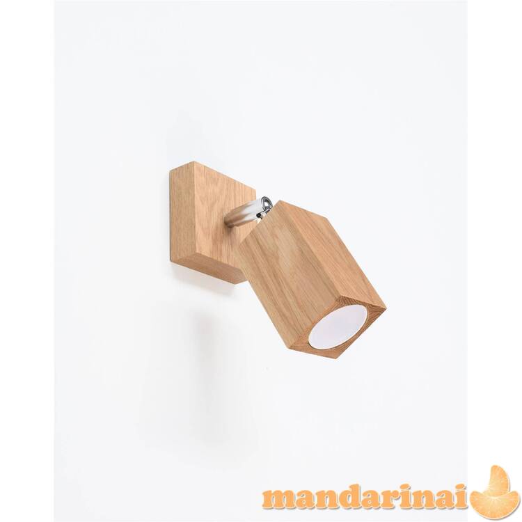 Sieninis šviestuvas 1