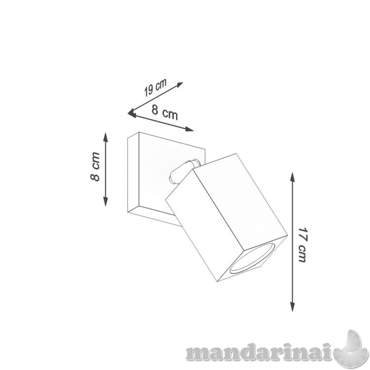 Sieninis šviestuvas 3