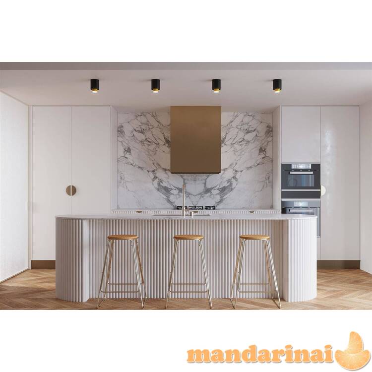 NESI juodas Lubinis šviestuvas