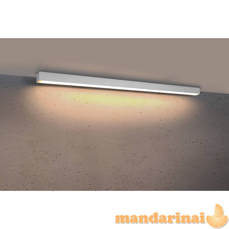 Lubinis šviestuvas PINNE 117 baltas