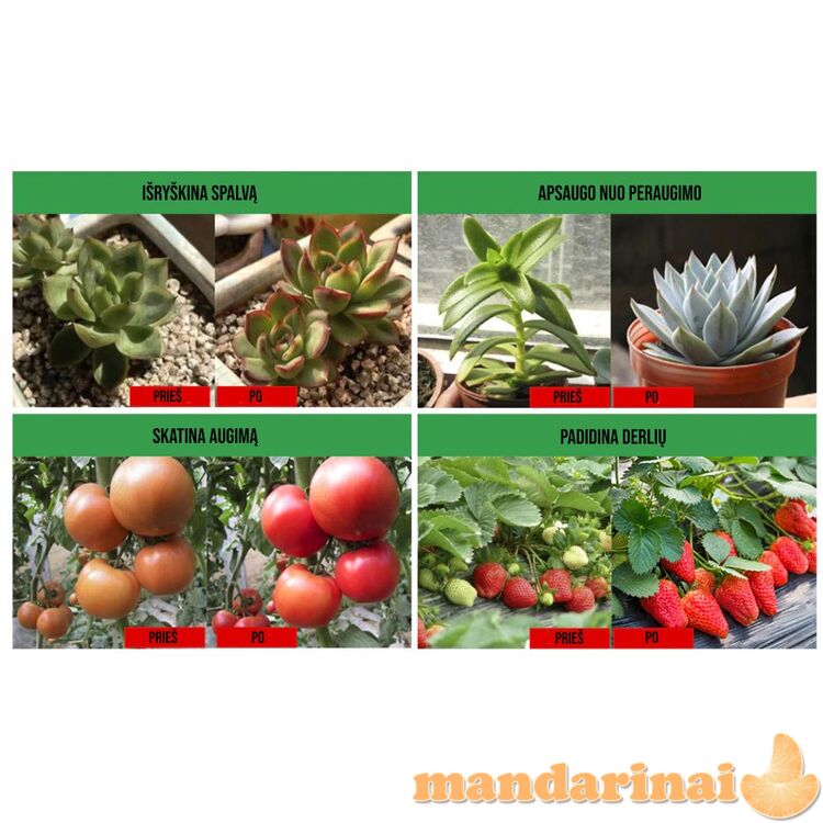 Pakabinamas 500W pilno spektro šviestuvas augalams