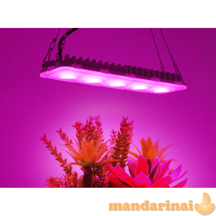 Pakabinamas 500W pilno spektro šviestuvas augalams