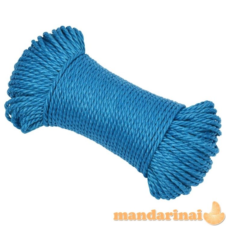 Darbo virvė, mėlynos spalvos, 6mm, 100m, polipropilenas