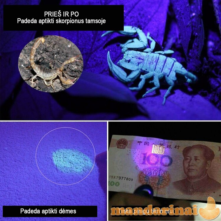 Fokusuojamas UV spindulių žibintuvėlis