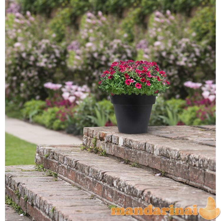 VazonasBaritone 40 cm, juodas