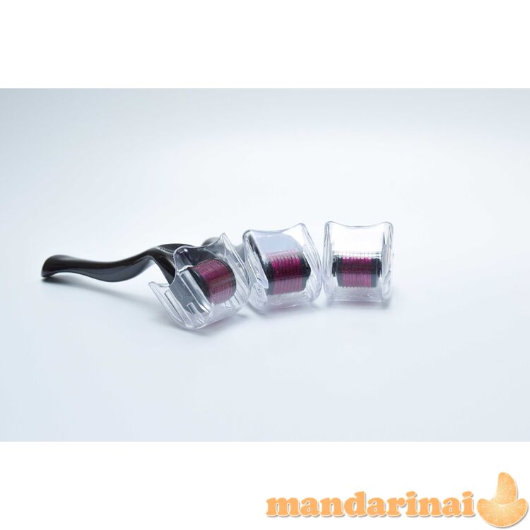 Adatinis DERMA ROLLER SRS mezoterapinis volelis