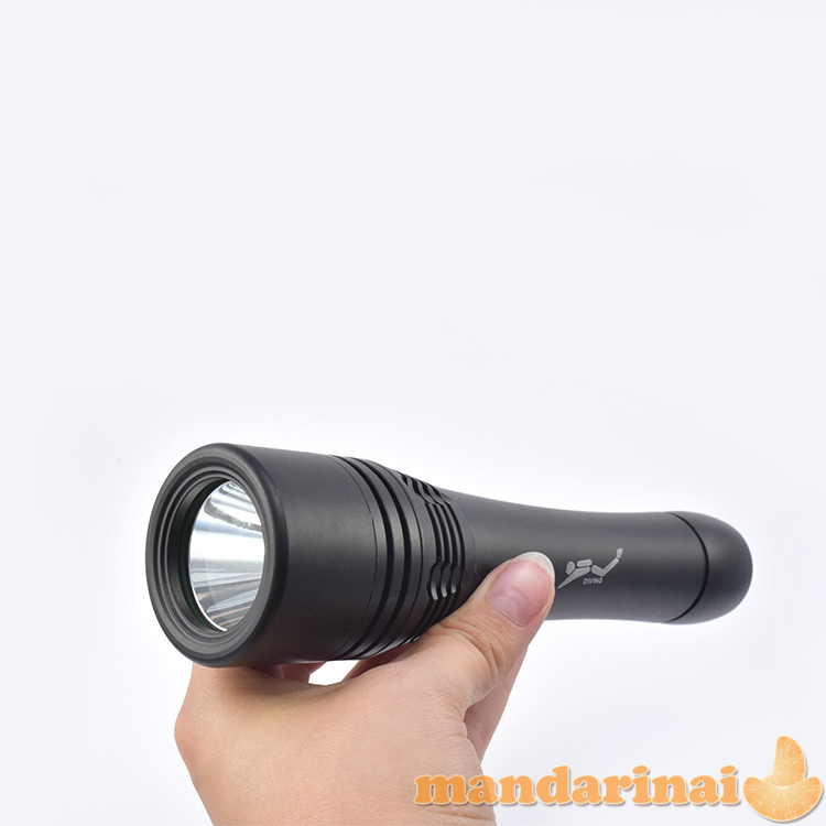 XML T6 LED 500 LM prožektorius nardymui