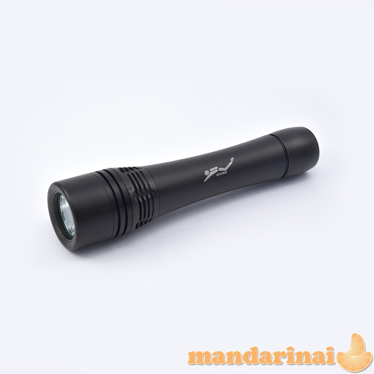 XML T6 LED 500 LM prožektorius nardymui