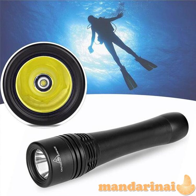 XML T6 LED 500 LM prožektorius nardymui