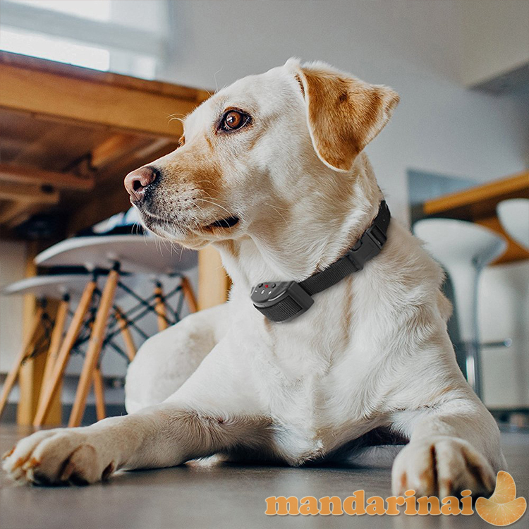 „Išmanusis“ anti-lojimo antkaklis