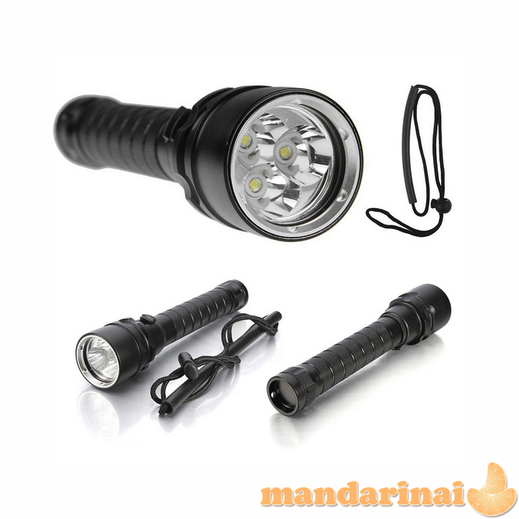  3 LED T6 prožektorius nardymui