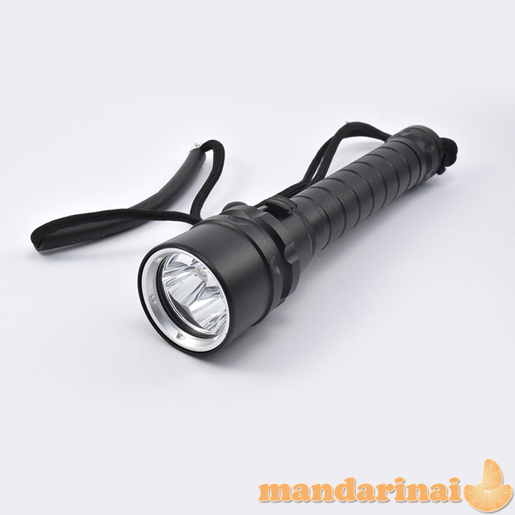  3 LED T6 prožektorius nardymui