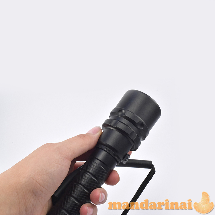  3 LED T6 prožektorius nardymui