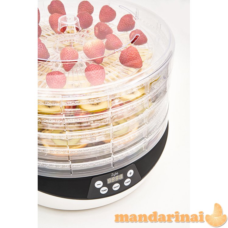 Vaisių džiovyklė, 