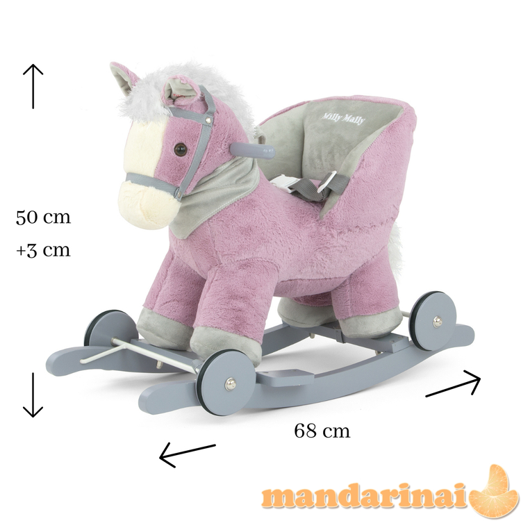 Polly Violet arklys 1