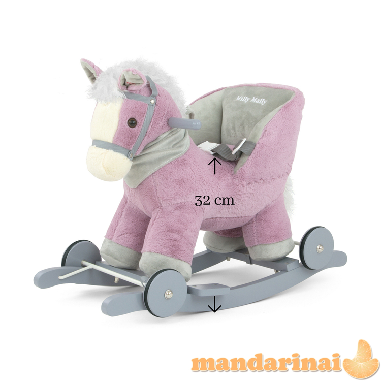 Polly Violet arklys 2