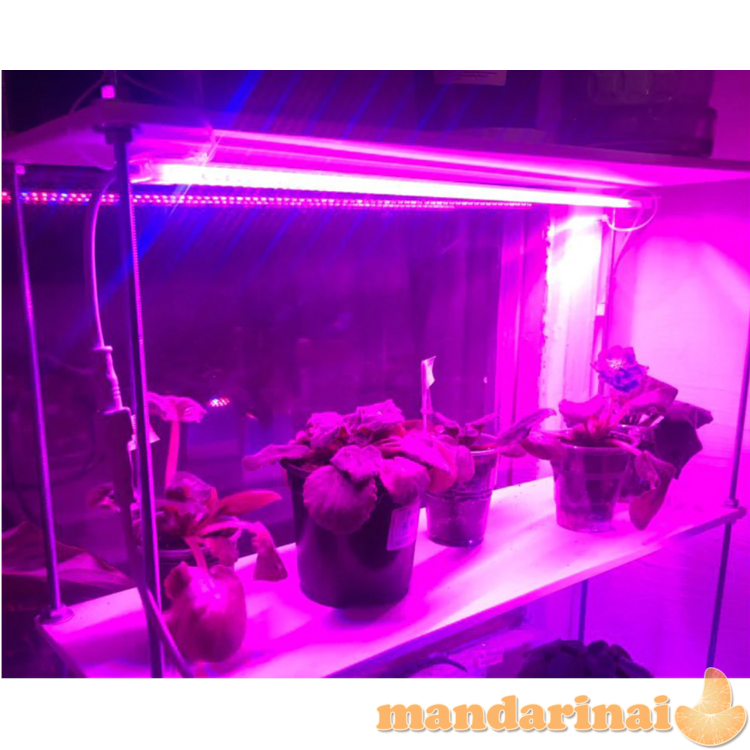 Pilno spektro šviesos bėgelių sistema augalams auginti