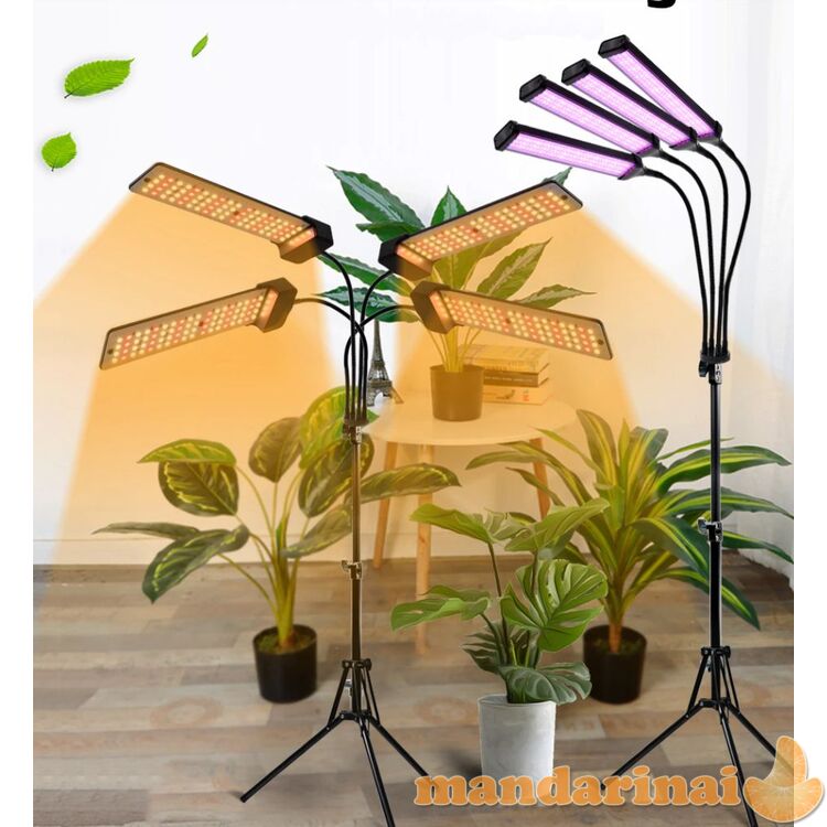 80W pilno spektro šviestuvas su stovu