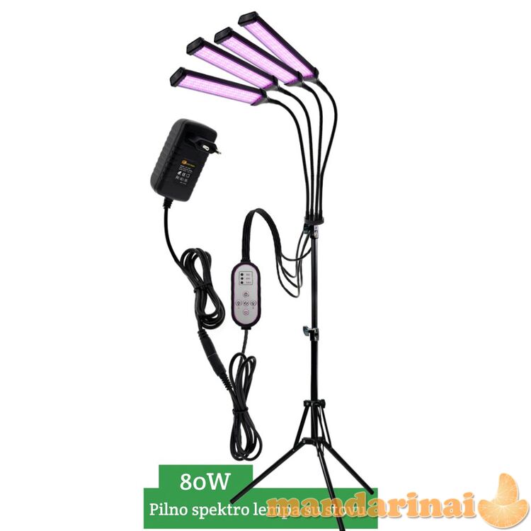 80W pilno spektro šviestuvas su stovu