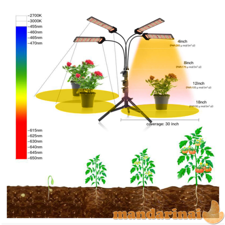 80W pilno spektro šviestuvas su stovu