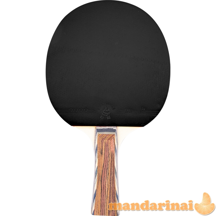 Stalo teniso raketė inSPORTline Shootfair S4