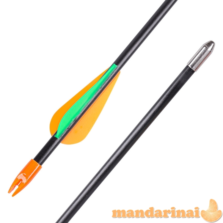 Laminuotos strėlės inSPORTline Petterson, 6 vnt.