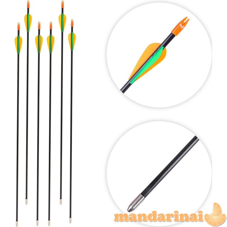 Laminuotos strėlės inSPORTline Petterson, 6 vnt.