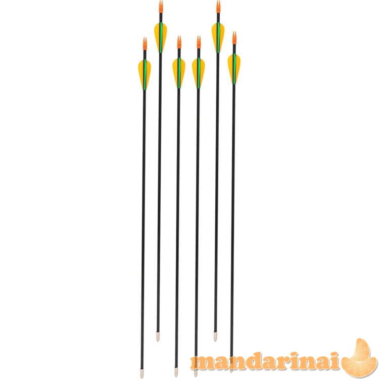 Laminuotos strėlės inSPORTline Petterson, 6 vnt.