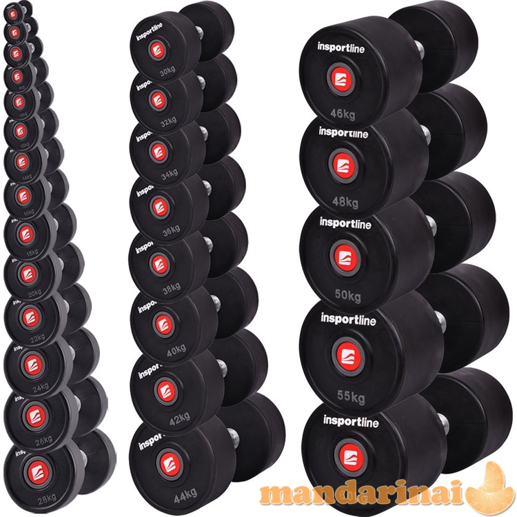 Gumuotas hantelis inSPORTline PRO 16kg