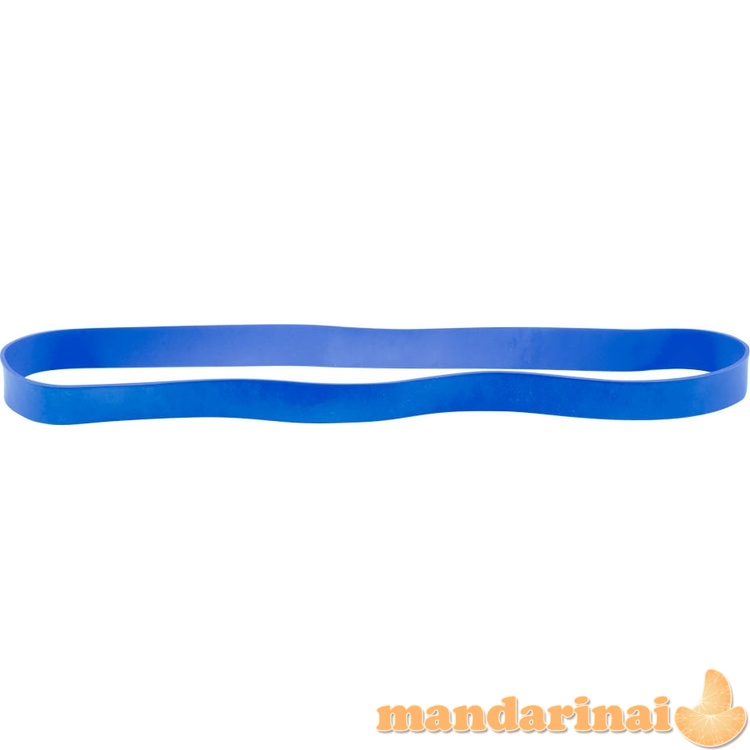 Pasiprie&scaron;inimo guma inSPORTline Hangy 27.5cm (sunkus+ 4kg)