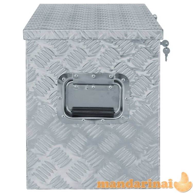 Aliuminio dėžė, 90,5x35x40cm, sidabrinė