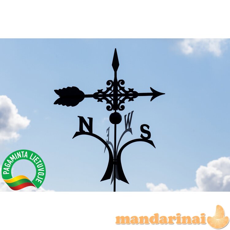 Vėjarodis ,,Figūrinis