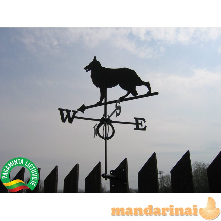 Vėjarodis ,,Vilkšunis