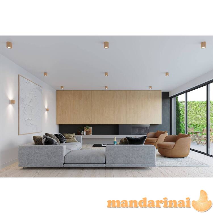 Sieninis šviestuvas Orbis natūrali mediena 4