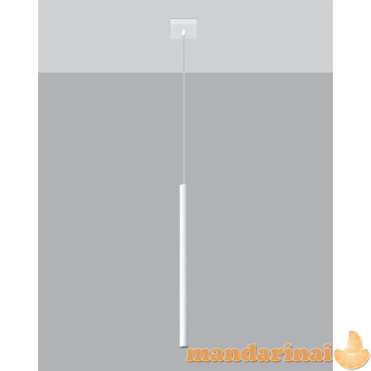 Pakabinama lempa pastelo 1 balta 4