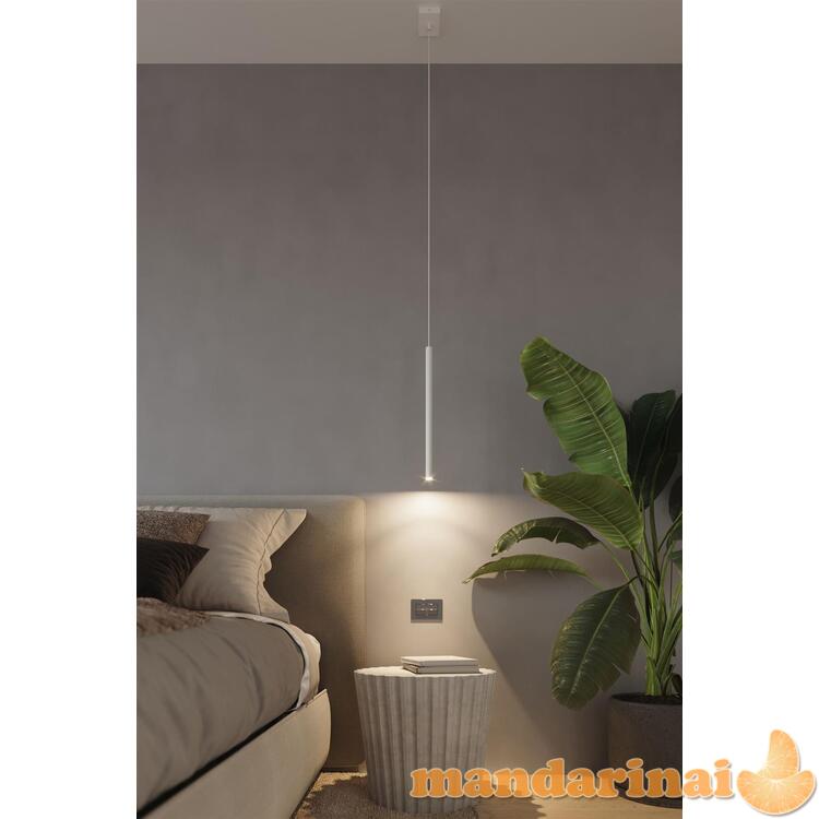 Pakabinama lempa pastelo 1 balta 6