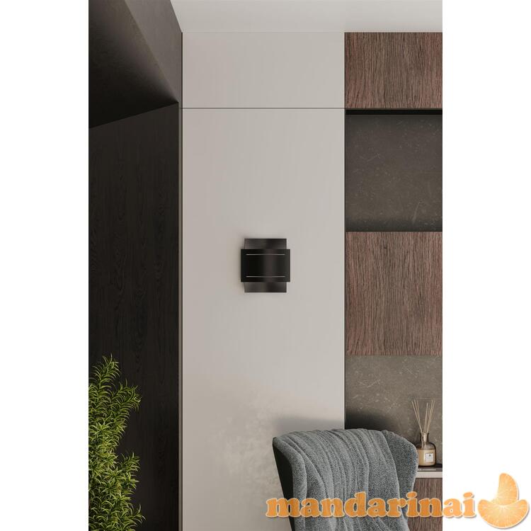 Sieninė lemputė hestia juoda