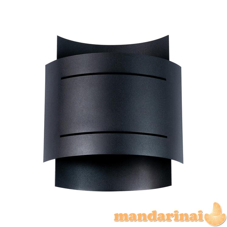 Sieninė lemputė hestia juoda