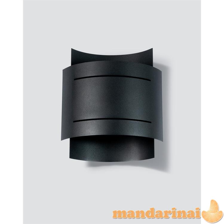 Sieninė lemputė hestia juoda