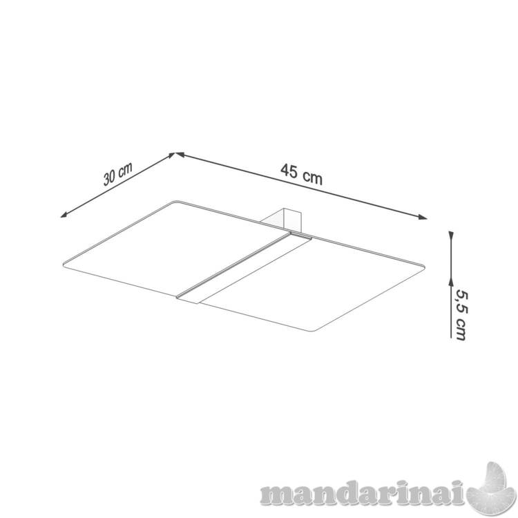 Azalijos Lubinis šviestuvas 3