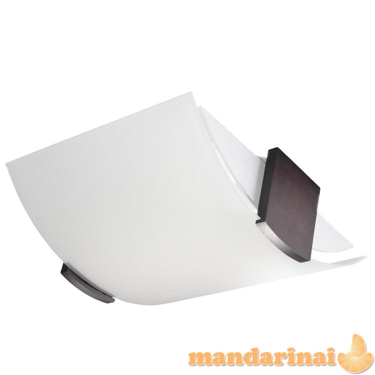 Emilio Lubinis šviestuvas 2