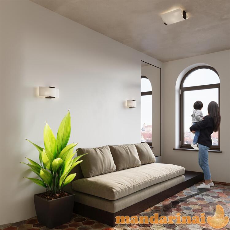 Emilio Lubinis šviestuvas 6