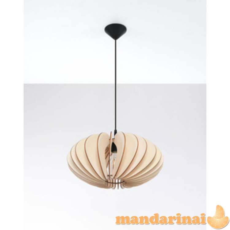 Pakabinama lempa sophia mediena 8